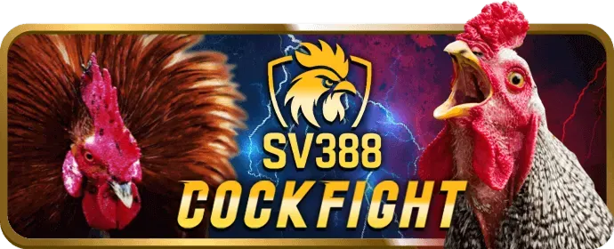 Lợi ích khi chọn wb5599